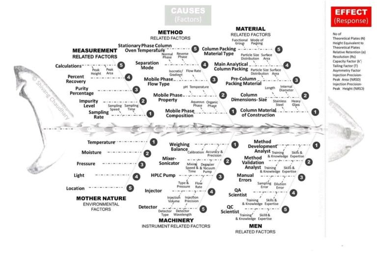 PHOTO-2025-09-04-16-29-37