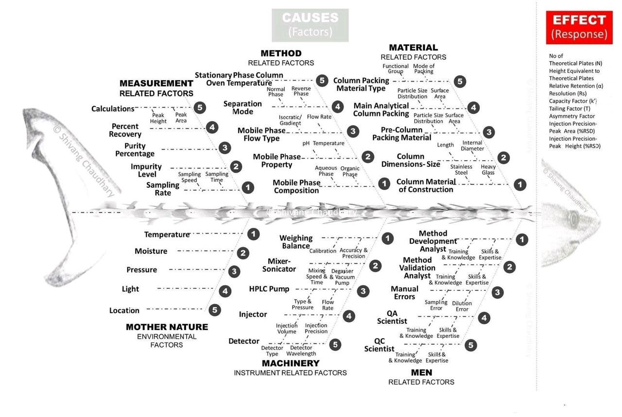 PHOTO-2025-09-04-16-29-37