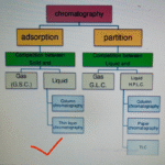 image (15)